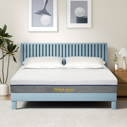 Queen Mattress, Babyqueen 10 inch Queen Size Memory Foam Mattress in Box, Adult