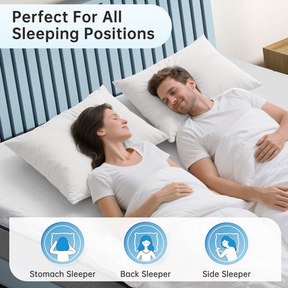 Queen Mattress, Babyqueen 10 inch Queen Size Memory Foam Mattress in Box, Adult